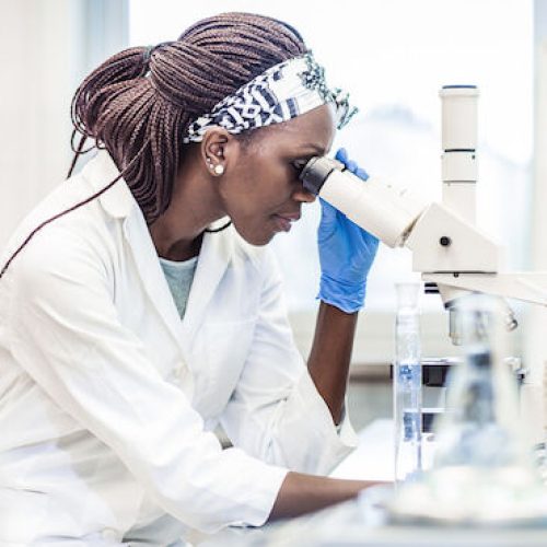 Scientist Using a Microscope